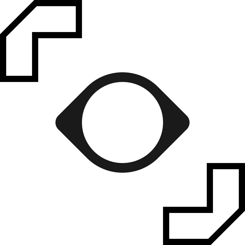 Vision